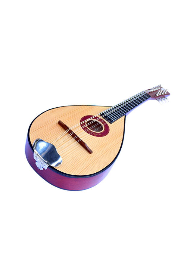 8 Telli Mandolin - 5