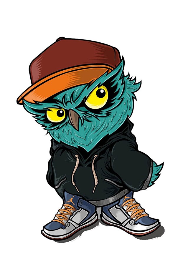 Cool Owl Auto, Motorcycle, Helmet, Laptop Sticker 13X10 cm