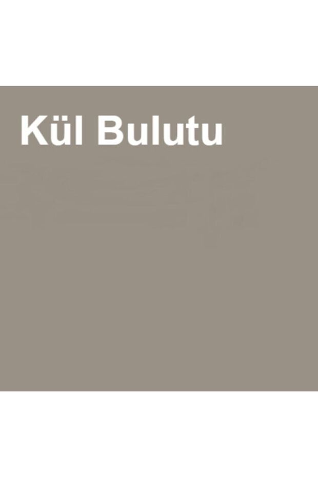 Su Bazlı Panel Kapı Boyası Kül Bulutu 1 Lt (1 KG) - 3