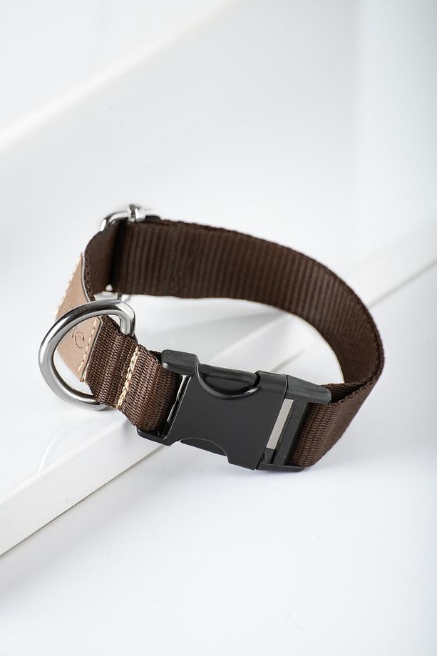 Köpek Boyun Tasması, Köpek Tasması , Ayarlanabilir, Sağlam Köpek Tasması - Tasto - 5