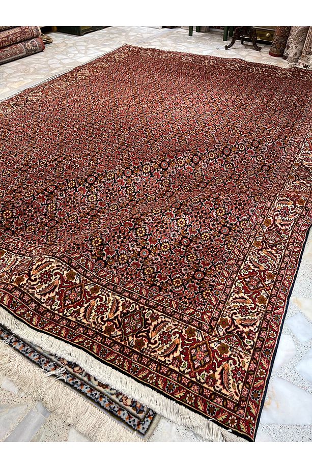 El Dokuma İran Bijar Halısı Pamuk Saçak Üzerine Yün Dokuma Ebatı 3.40x2.50 - 3