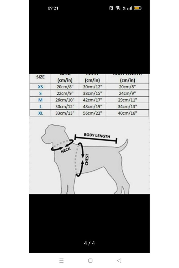 Fırfırlı Tasma Seti - 6