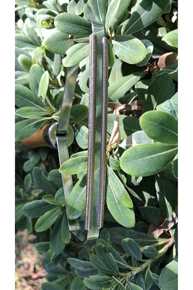 Tufting Wooden Lint Remover - 3