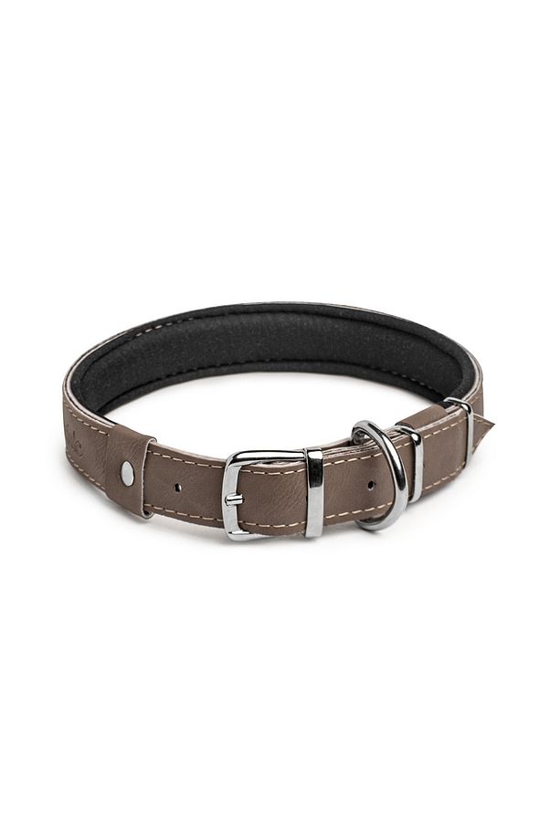 Köpek Tasması, Köpek Boyun Tasması, Büyük Ve Orta Irk Köpek Boyun Tasması - Collo - 4