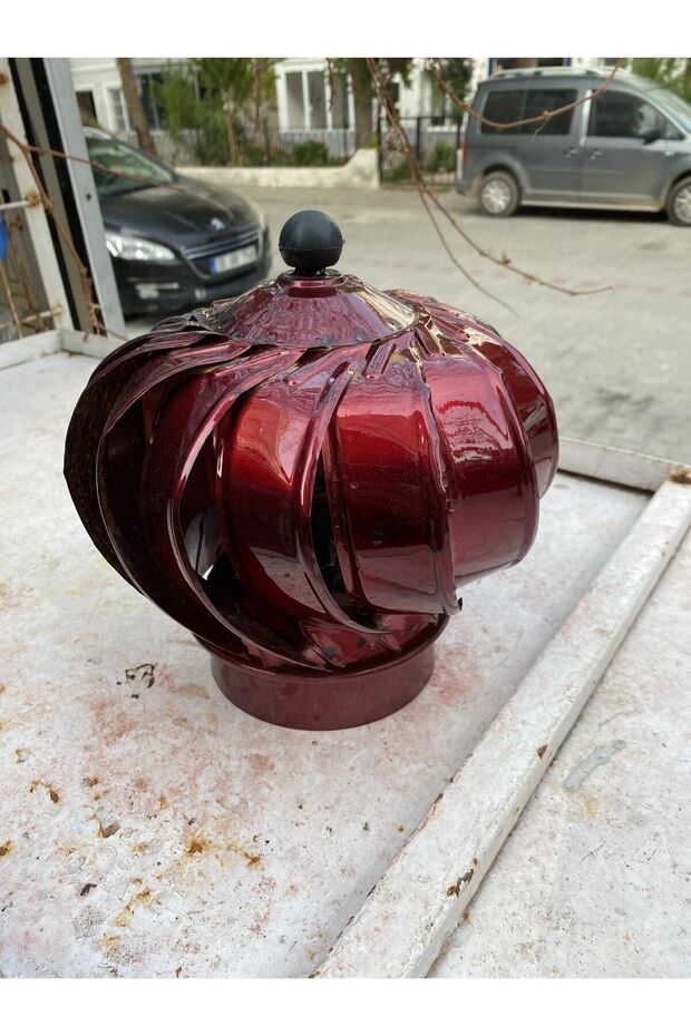 Baca Gülü R100 - 2