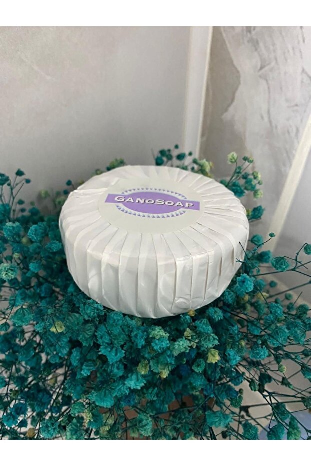Ganoexcel Gano Excel Goat Milk Soap 200 Gr 027