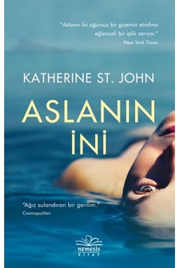 Aslanın Ini