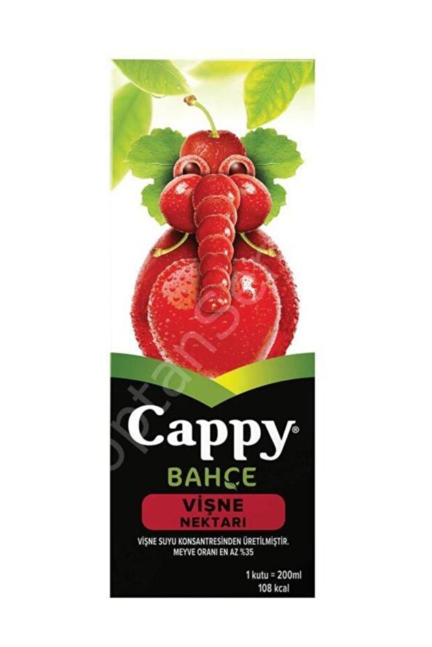 Vişne 200 ml - 1