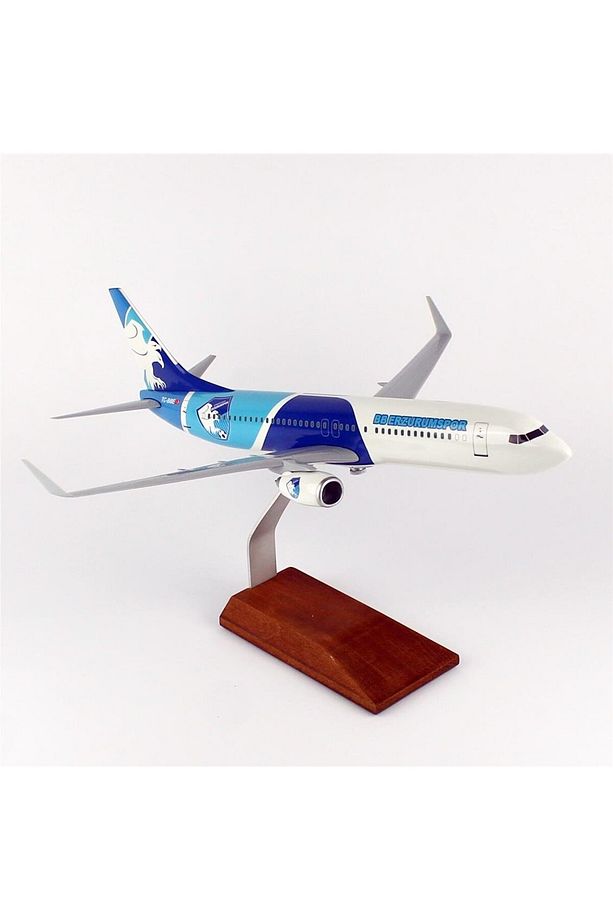 THY050 1/100 Ölçek, THY Erzurum Spor Logolu B737-800 Yolcu Uçağı, Sergilemeye Hazır Ahşap Standlı Mo - 1