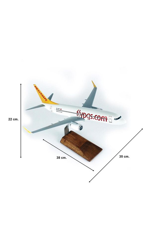 THY043 1/100 Ölçek, Pegasus B737-800 Yolcu Uçağı, Sergilemeye Hazır Ahşap Standlı Model - 5