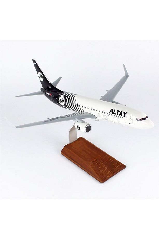 THY037 1/100 Ölçek, THY Altay Spor Logolu B737-800 Yolcu Uçağı, Sergilemeye Hazır Ahşap Standlı Mode - 1
