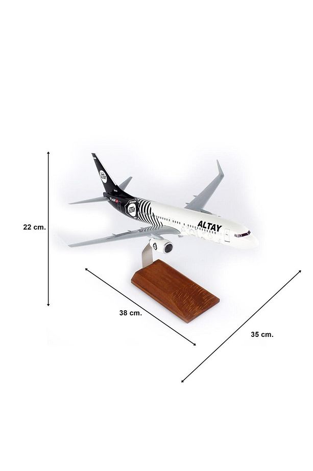 THY037 1/100 Ölçek, THY Altay Spor Logolu B737-800 Yolcu Uçağı, Sergilemeye Hazır Ahşap Standlı Mode - 5