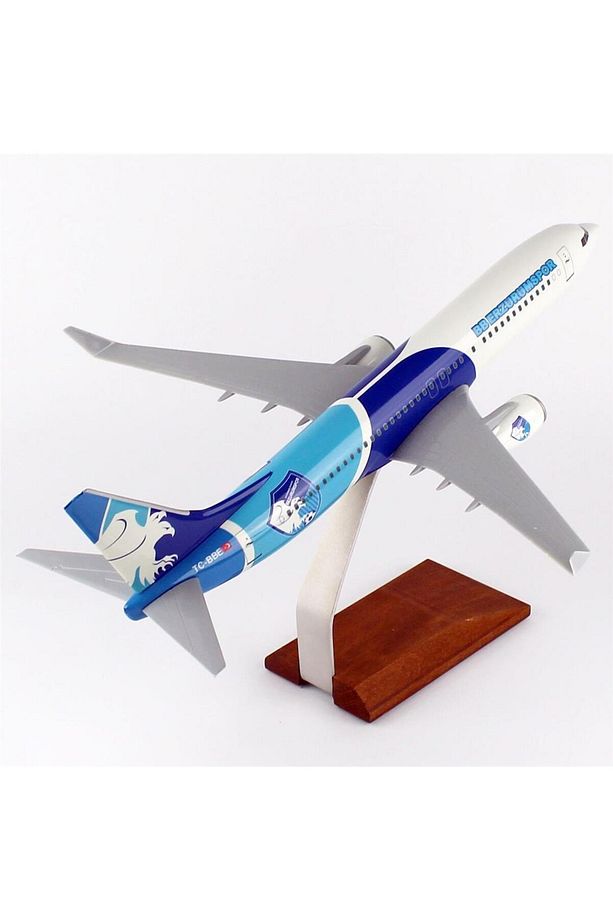 THY050 1/100 Ölçek, THY Erzurum Spor Logolu B737-800 Yolcu Uçağı, Sergilemeye Hazır Ahşap Standlı Mo - 4