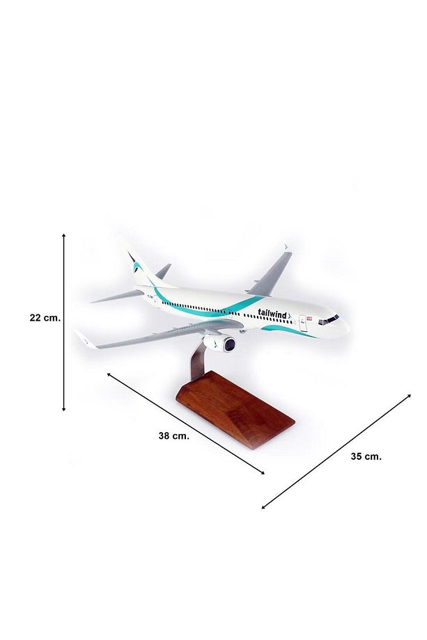 THY024 1/100 Ölçek, Tailwind Business B737-800 Yolcu Uçağı, Sergilemeye Hazır Ahşap Standlı Model - 5