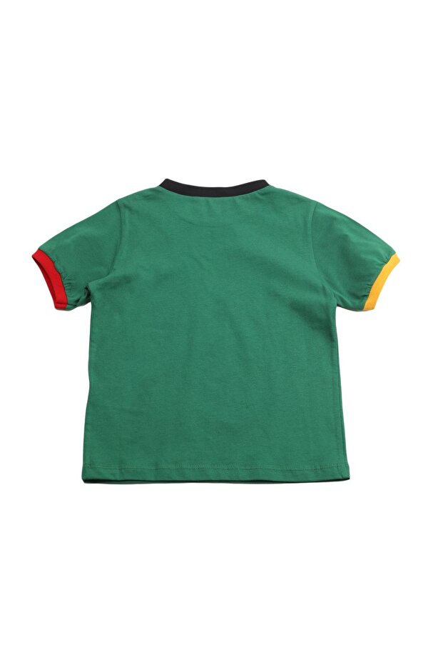 Yeşil Erkek Çocuk Renk Bloklu Slogan Desenli Bisiklet Yaka Örme T-Shirt TKDSS24TS00044 - 8