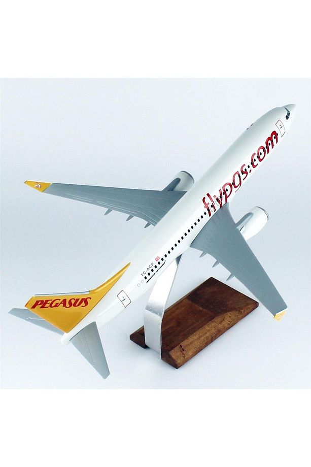 THY043 1/100 Ölçek, Pegasus B737-800 Yolcu Uçağı, Sergilemeye Hazır Ahşap Standlı Model - 4