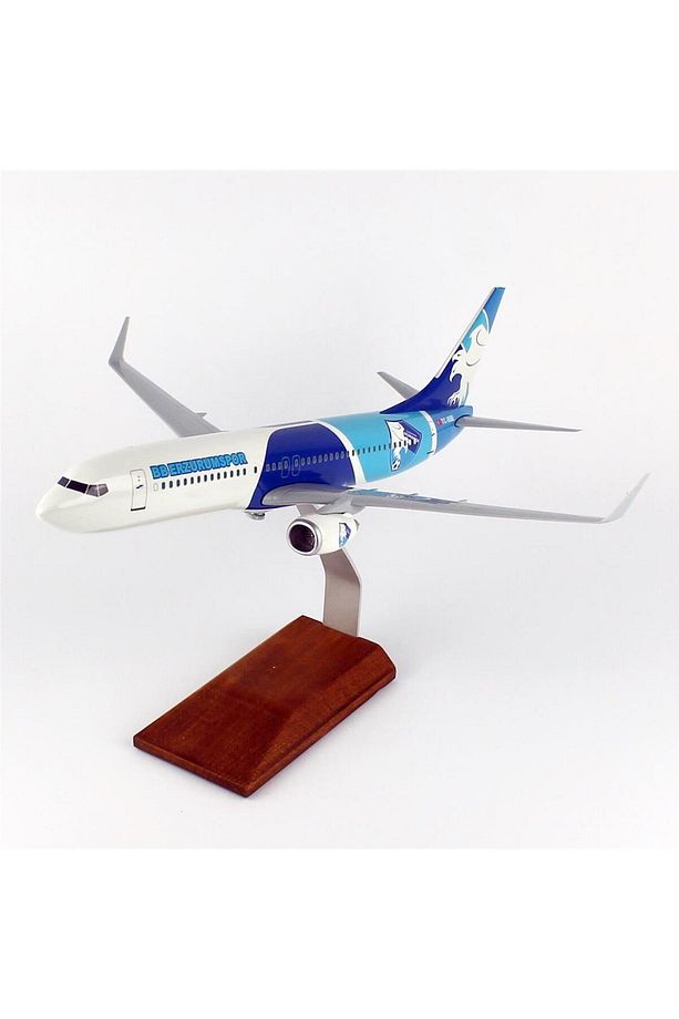 THY050 1/100 Ölçek, THY Erzurum Spor Logolu B737-800 Yolcu Uçağı, Sergilemeye Hazır Ahşap Standlı Mo - 2