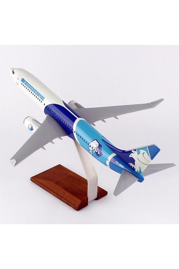 THY050 1/100 Ölçek, THY Erzurum Spor Logolu B737-800 Yolcu Uçağı, Sergilemeye Hazır Ahşap Standlı Mo - 3