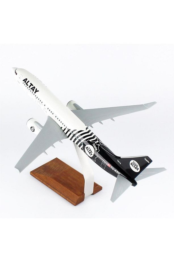 THY037 1/100 Ölçek, THY Altay Spor Logolu B737-800 Yolcu Uçağı, Sergilemeye Hazır Ahşap Standlı Mode - 3