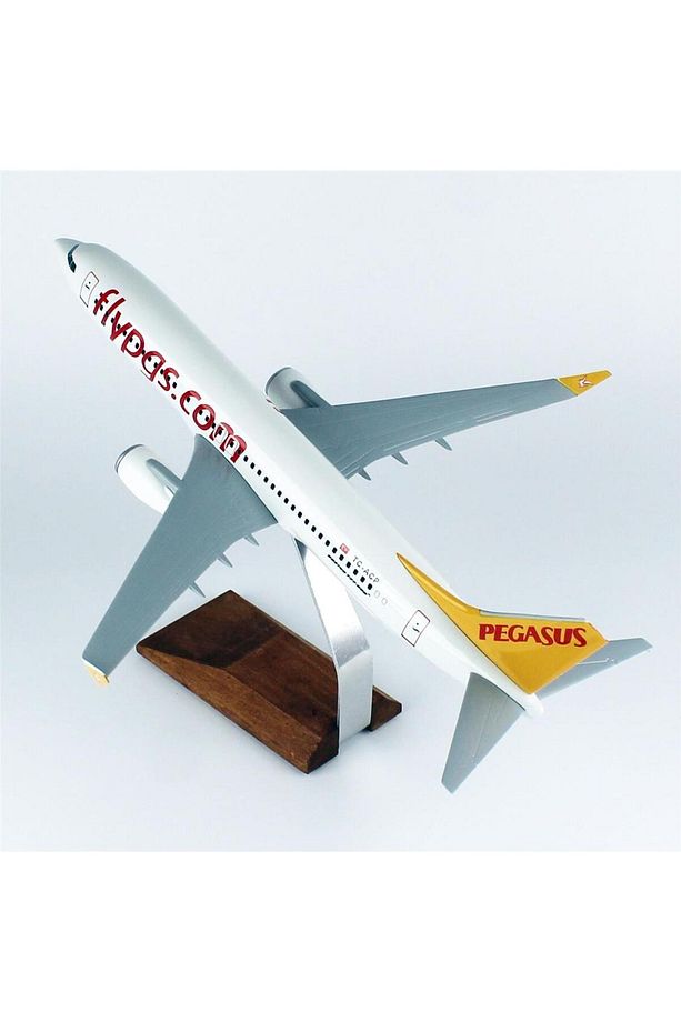 THY043 1/100 Ölçek, Pegasus B737-800 Yolcu Uçağı, Sergilemeye Hazır Ahşap Standlı Model - 3