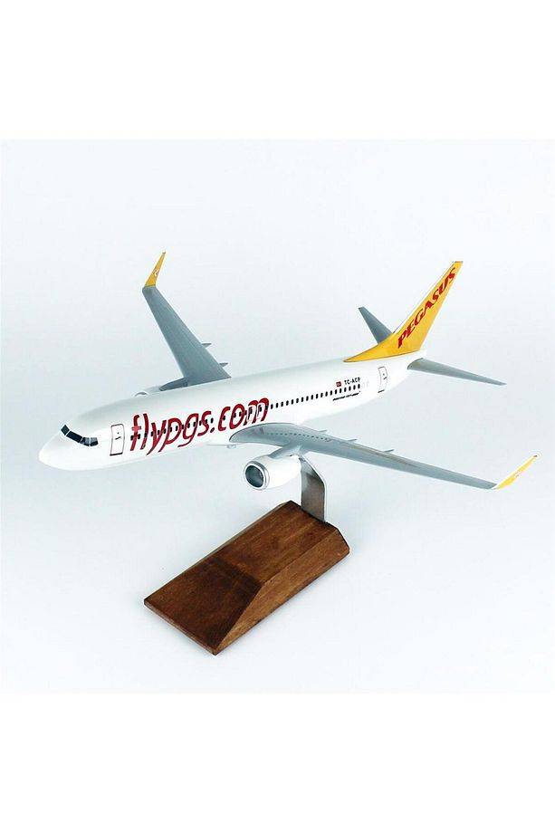 THY043 1/100 Ölçek, Pegasus B737-800 Yolcu Uçağı, Sergilemeye Hazır Ahşap Standlı Model - 2