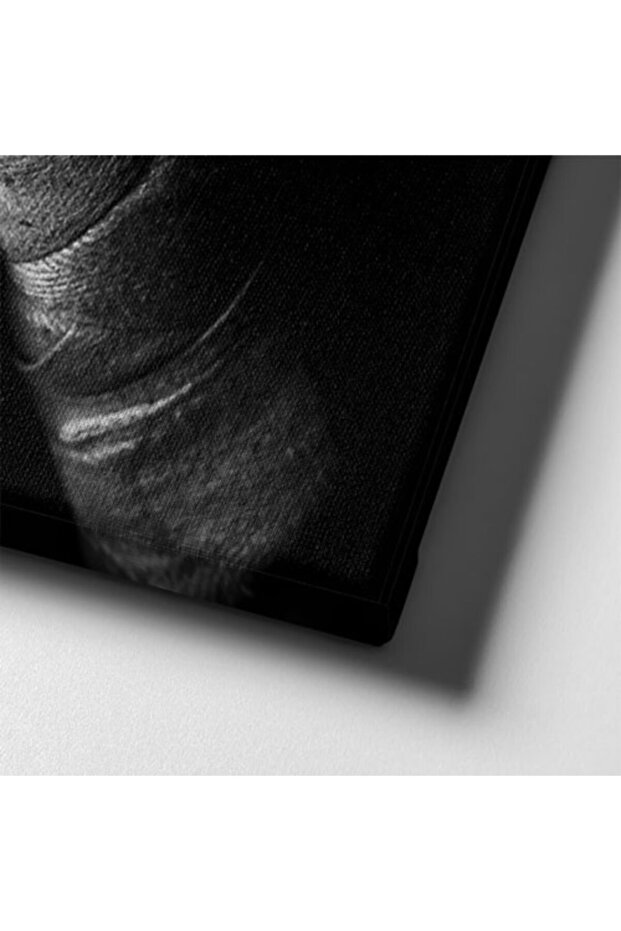 Επιτραπέζιο καμβά Kick Boxing - 6