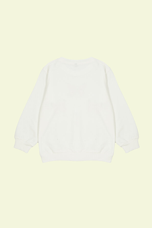 Ekru*003 Kız Çocuk Mevsimlik-İnce Kelebek Desenli Bisiklet Yaka Örme Sweatshirt TKDAW25SW00001 - 3