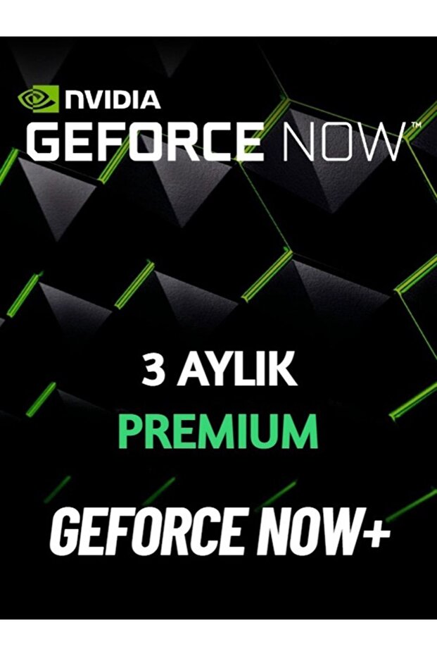 Now Game Plus 3 Aylık - 1
