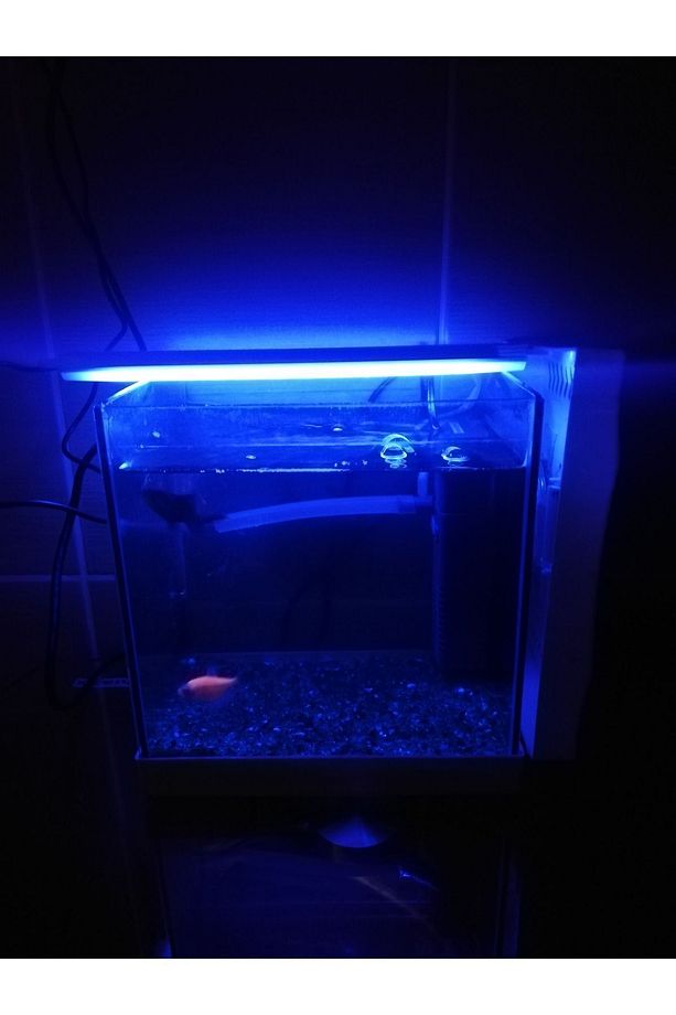 Akvaryum Ve Araç Içi Led Aydınlatma, 25 Cm, Mavi, 12 Volt Adaptör Ile Birlikte - 1