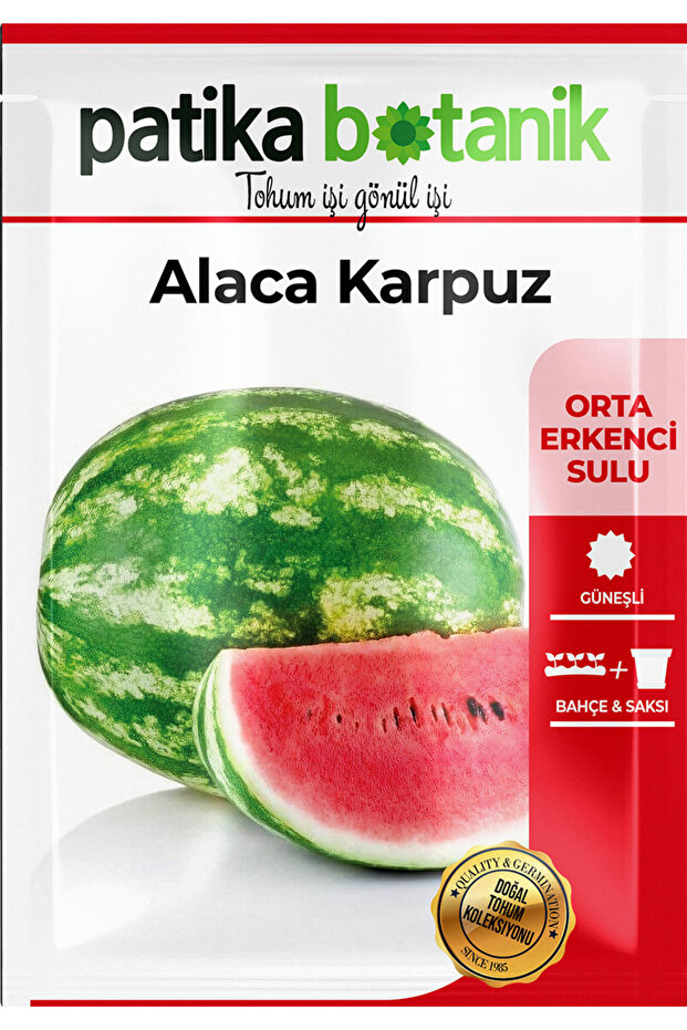 Alaca Karpuz - 3