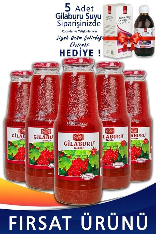 Gilaburu Suyu Nektarı 5 Adet 1000ml Cam Şişe - 1