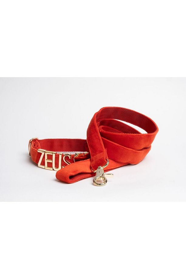 İsimli köpek tasması ve gezdirme kayışı,isme özel köpek tasması, köpek tasması + gezdirme kayışı set - 1