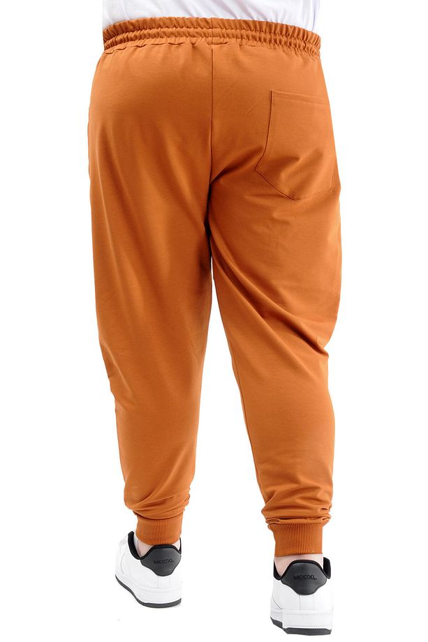 Mode XL Büyük Beden Eşofman Altı Dar Paça Zippered 22501 Tarçın - 4