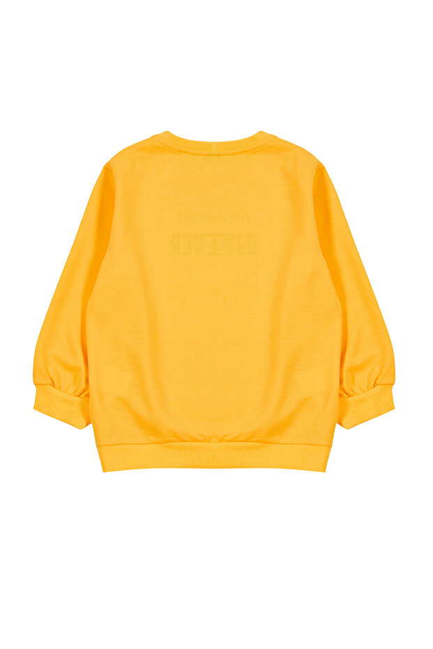 Sarı Erkek Çocuk Mevsimlik-İnce Hayvan Desenli Bisiklet Yaka Örme Sweatshirt TKDAW25SW00005 - 4