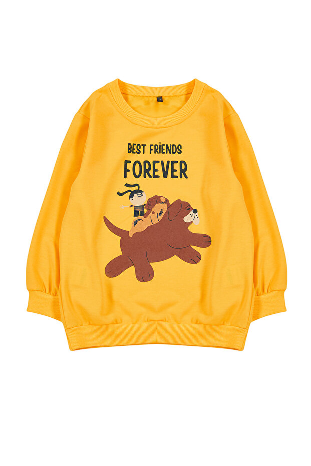 Sarı Erkek Çocuk Mevsimlik-İnce Hayvan Desenli Bisiklet Yaka Örme Sweatshirt TKDAW25SW00005 - 3