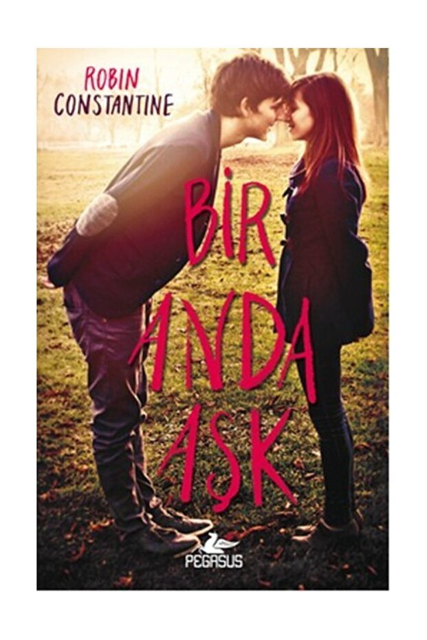 Bir Anda Aşk - Robin Constantine - 1