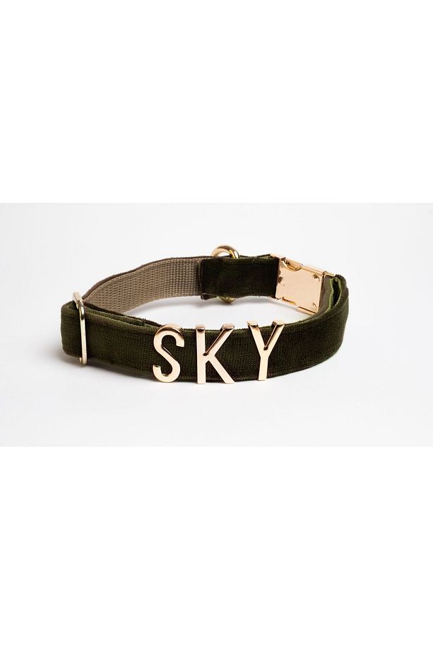 İsimli köpek tasması ve gezdirme kayışı,isme özel köpek tasması, köpek tasması + gezdirme kayışı set - 7