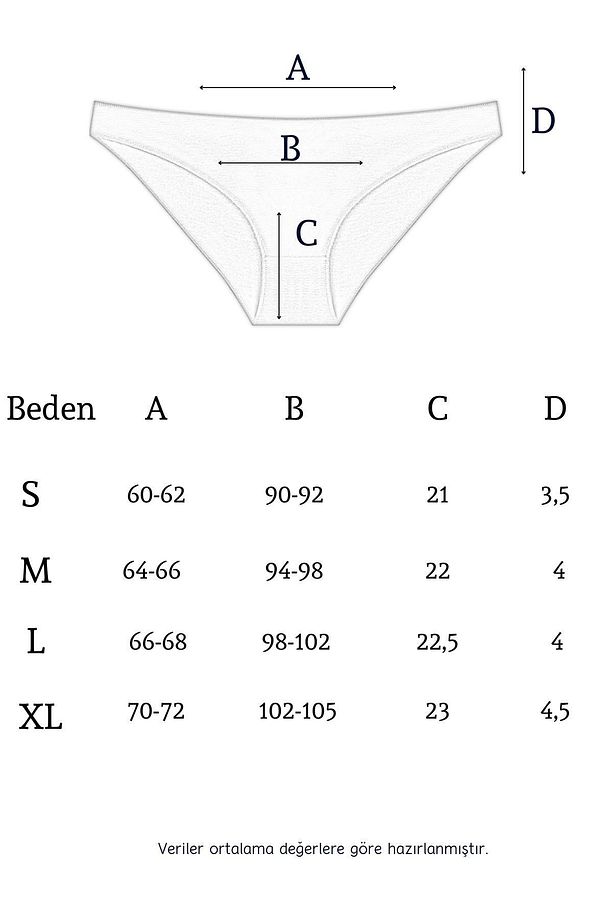 10010 Slip 3'lü Bikini Külot Paketi 10010-v2 - 7