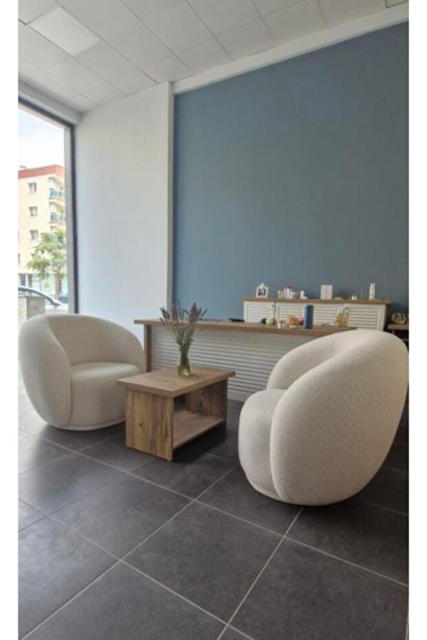 Fasulye Teddy Moderen Berjer - 4