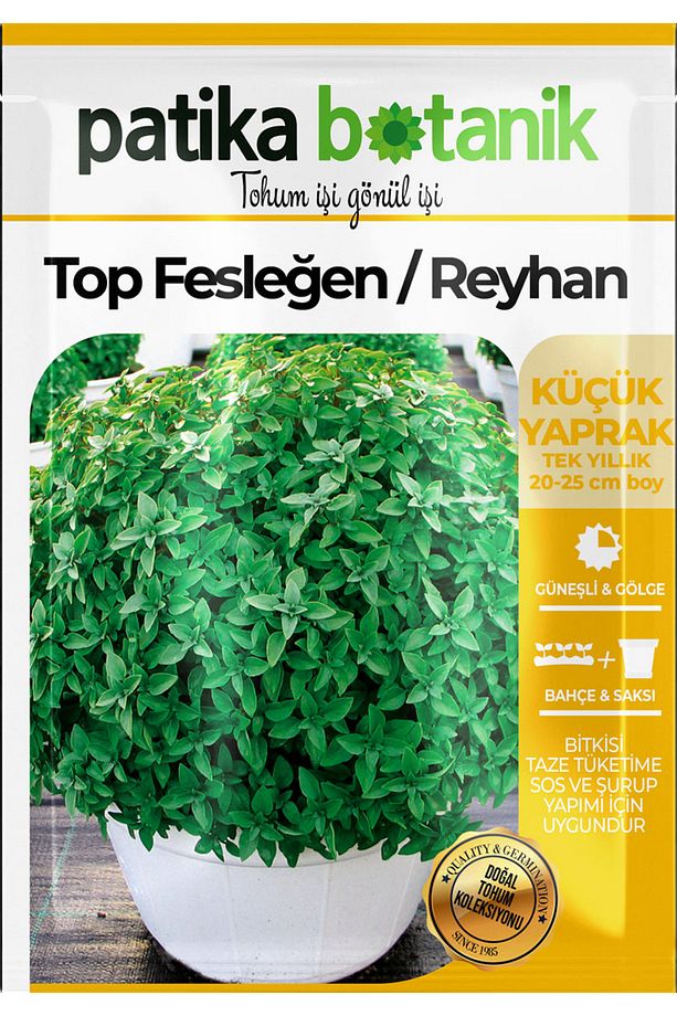 100 Adet Top Fesleğen - Top Reyhan (OCİMUM BASİLİCUM) Tohumu - 2