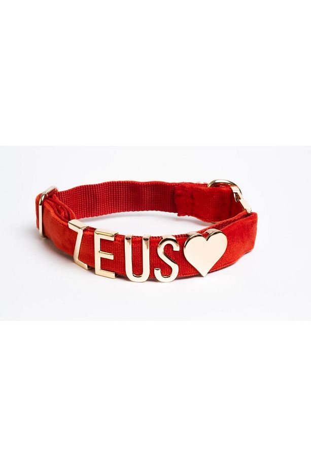 İsimli köpek tasması ve gezdirme kayışı,isme özel köpek tasması, köpek tasması + gezdirme kayışı set - 4