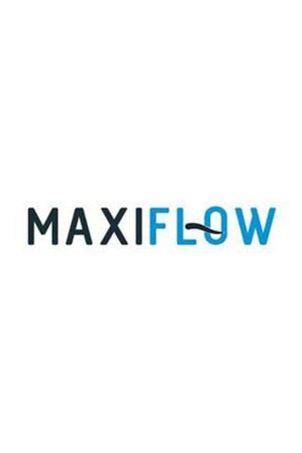 Maxıflow Ayaklı Wc Fırçalık Set - 2