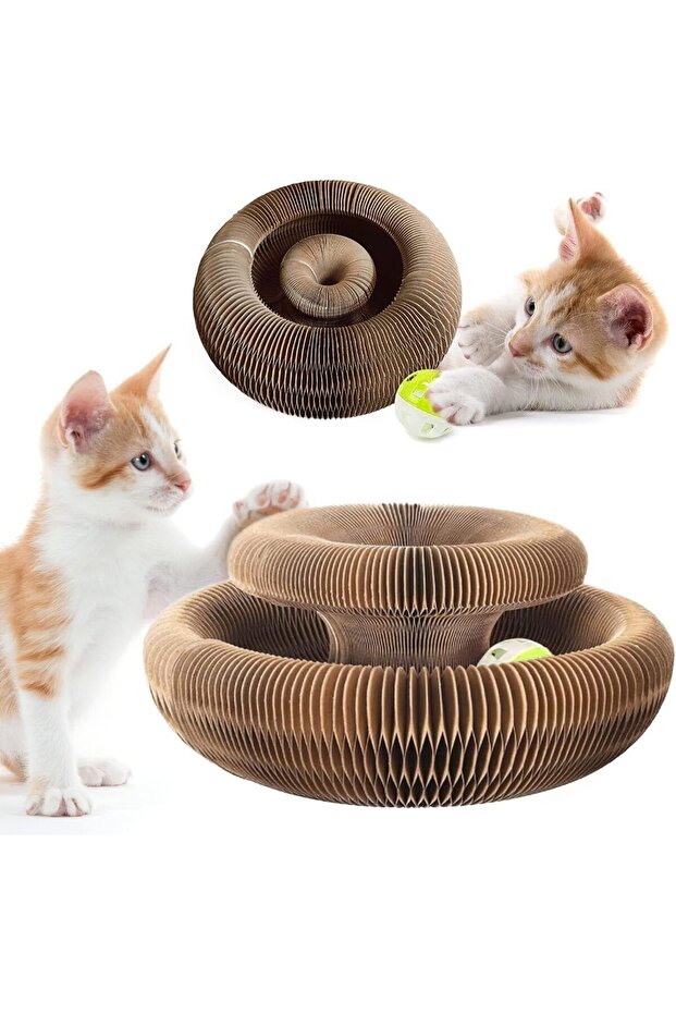 Cat Scratching Toy, Magic Cat Toy, Rattle Scratching Board, Cat Toy - 5