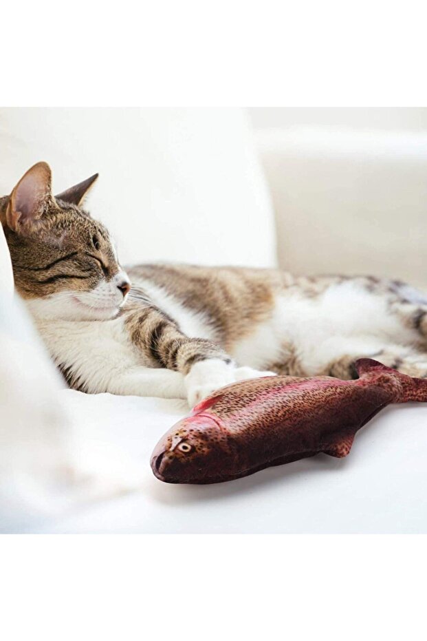 Hareketli Oynayan Balık - 2