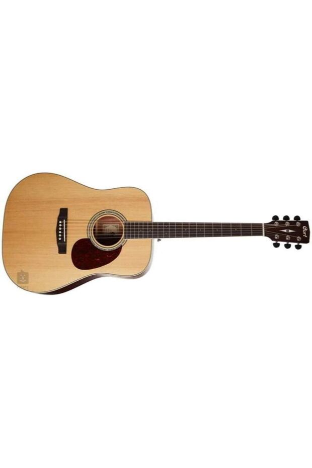 Akustik Earth100ns - 1