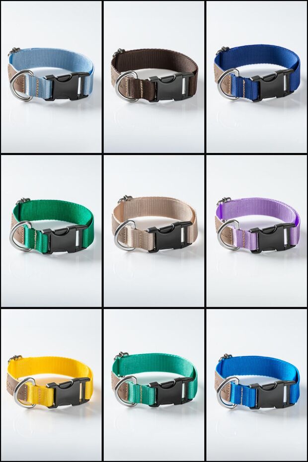 Köpek Boyun Tasması, Köpek Tasması , Ayarlanabilir, Sağlam Köpek Tasması - Albero - 7
