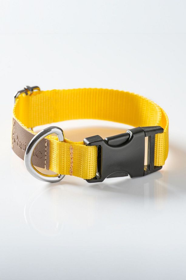 Köpek Boyun Tasması, Köpek Tasması , Ayarlanabilir, Sağlam Köpek Tasması - Sole - 6