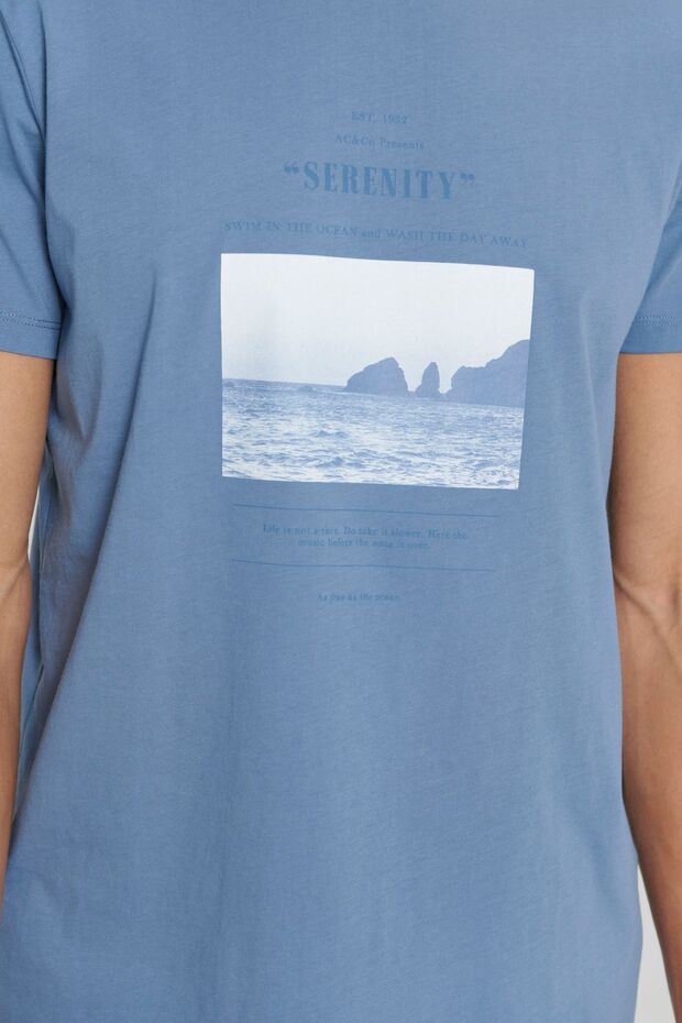 Erkek İndigo Standart Fit Normal Kesim %100 Pamuk Baskılı Bisiklet Yaka Tişört - 5