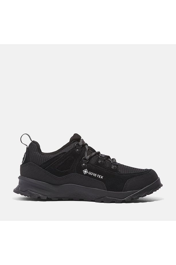 LOW LACE UP GTX HIKING BOOT TB0A2MMYEAD1 - 1