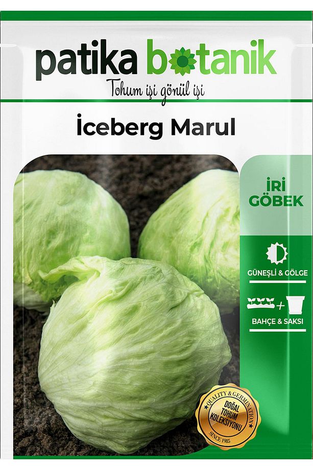 1000 Adet Iceberg, Göbek Marul Tohumu - 3